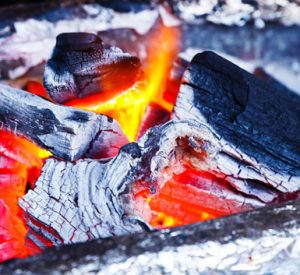 BBQ Cooking Charcoal - Fruitwood Charcoal