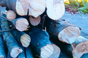 Flavoured Smoking Wood – Olive Flavoured Smoking Wood - Olive