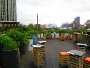 Greenhouse Restaurant Firewood Supplier