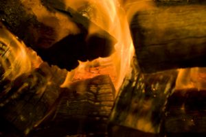 Restaurant Firewood - Rockpool